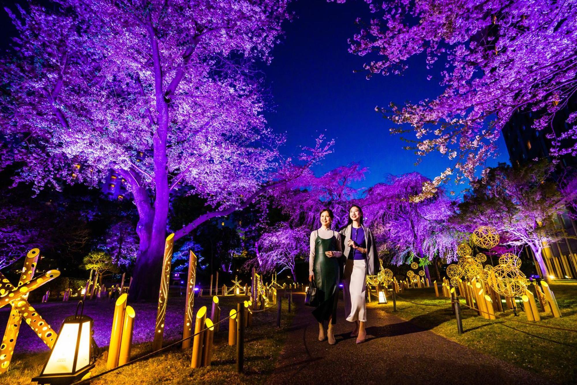 Grand Prince Hotel Takanawa Tokio Exterior foto Illumination of the park