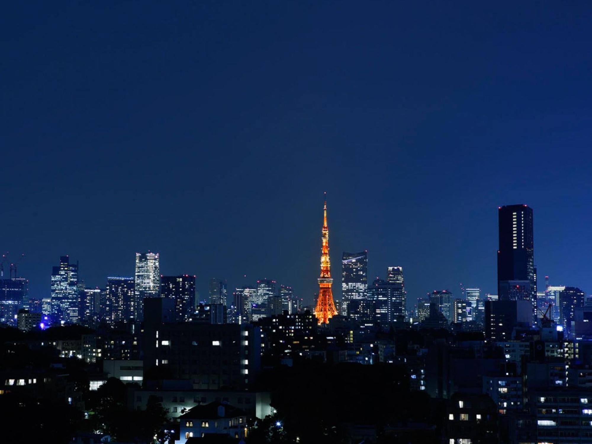 Grand Prince Hotel Takanawa Tokio Cameră foto