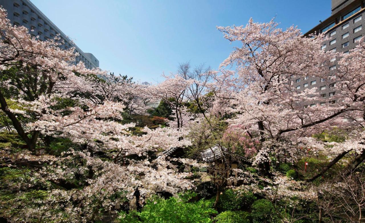 Grand Prince Hotel Takanawa Tokio Exterior foto Cherry blossoms at the campus