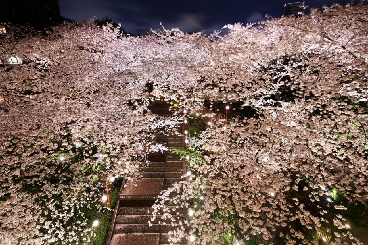 Grand Prince Hotel Takanawa Tokio Exterior foto Cherry blossoms at night